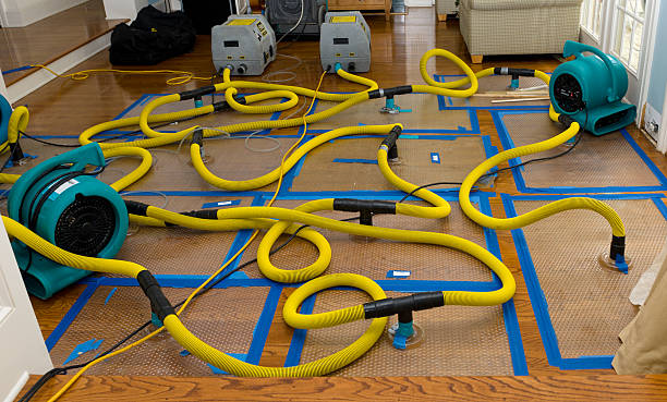 Professional Water Damage Restoration technician working in Chester Springs, PA